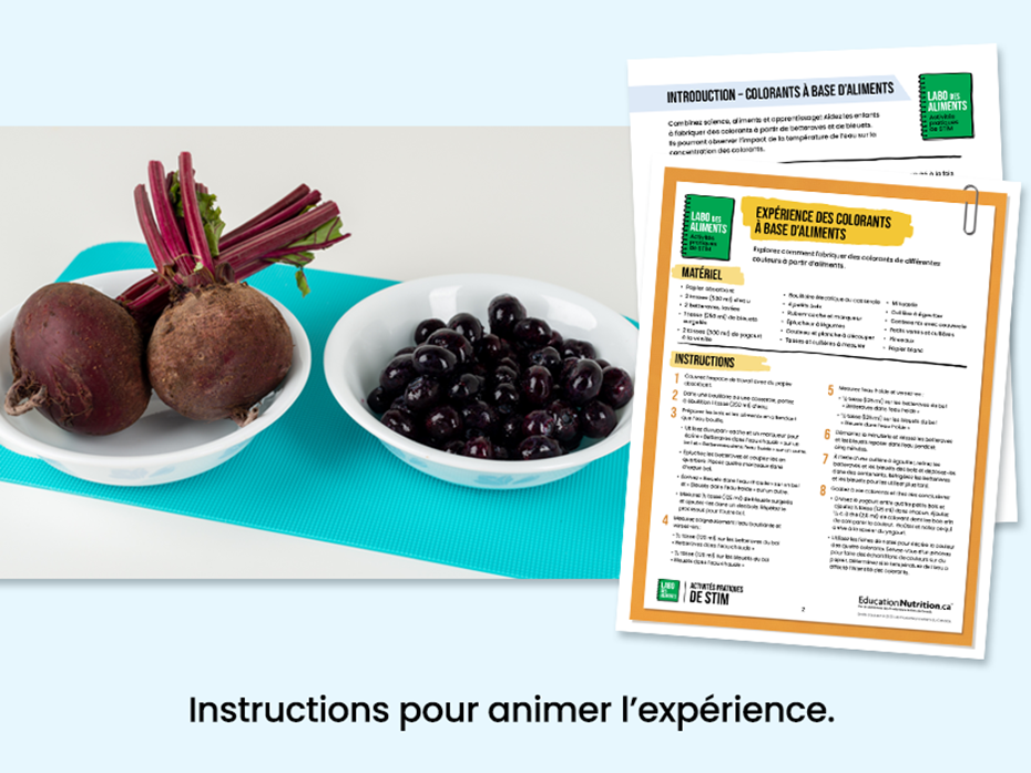 Colorants à base d’aliments - Bettraves et bleuets dans des bols - Instructions pour animer l'expérience - Programme Le labo des aliments - STIM