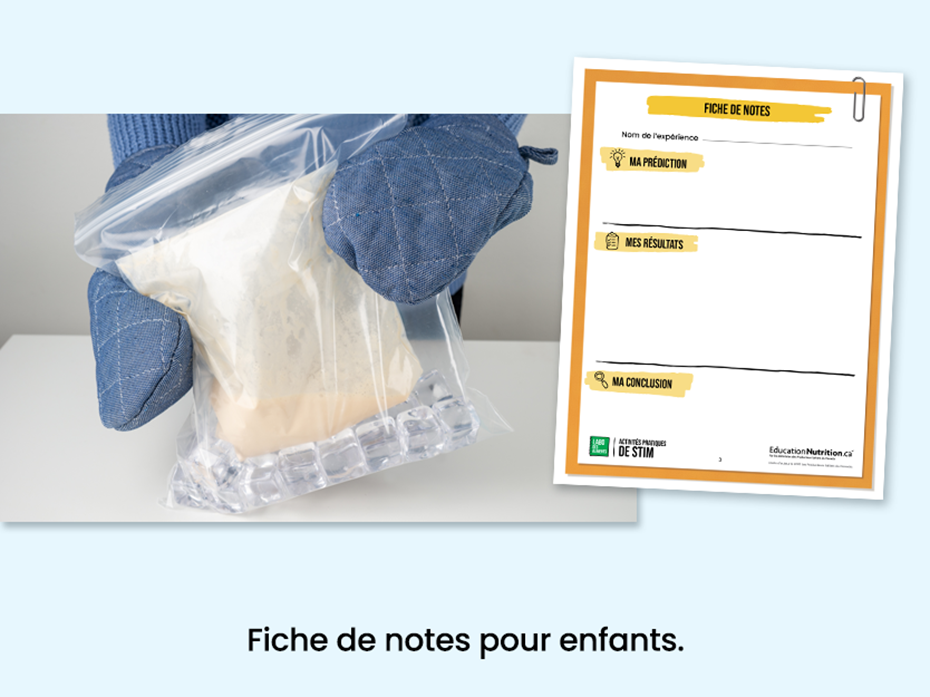 Ingrédients dans un sac pour faire de la crème glacée  - Fiche de notes pour les enfants - Programme Le labo des aliments - STIM